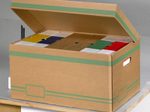 Cartonia Archivcontainer für individuelle Aufbewahrung 54,8 x 36,4 x 26,8 cm