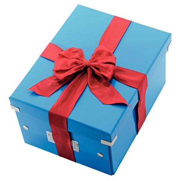 LEITZ Aufbewahrungsbox Click & Store 16,7 l - 28,1 x 36,9 x 20,0 cm blau