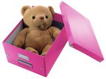 LEITZ Aufbewahrungsbox Click & Store 16,7 l - 28,1 x 36,9 x 20,0 cm pink