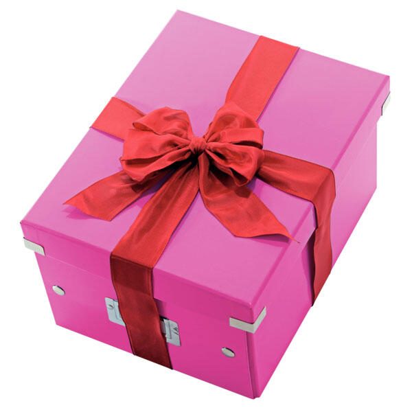 LEITZ Aufbewahrungsbox Click & Store 16,7 l - 28,1 x 36,9 x 20,0 cm pink