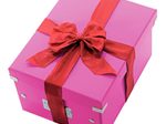 LEITZ Aufbewahrungsbox Click & Store 16,7 l - 28,1 x 36,9 x 20,0 cm pink