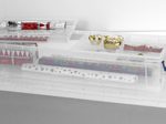 Really Useful Box Aufbewahrungsbox 22,0 l - 80,0 x 25,5 x 15,5 cm transparent