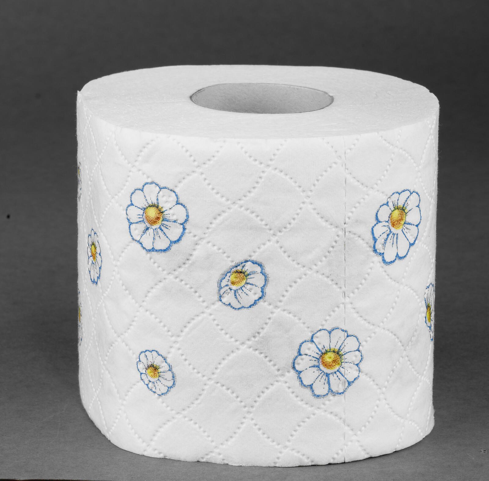 Regina Toilettenpapier Kamillenpapier 3-lagig