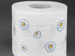 Regina Toilettenpapier Kamillenpapier 3-lagig