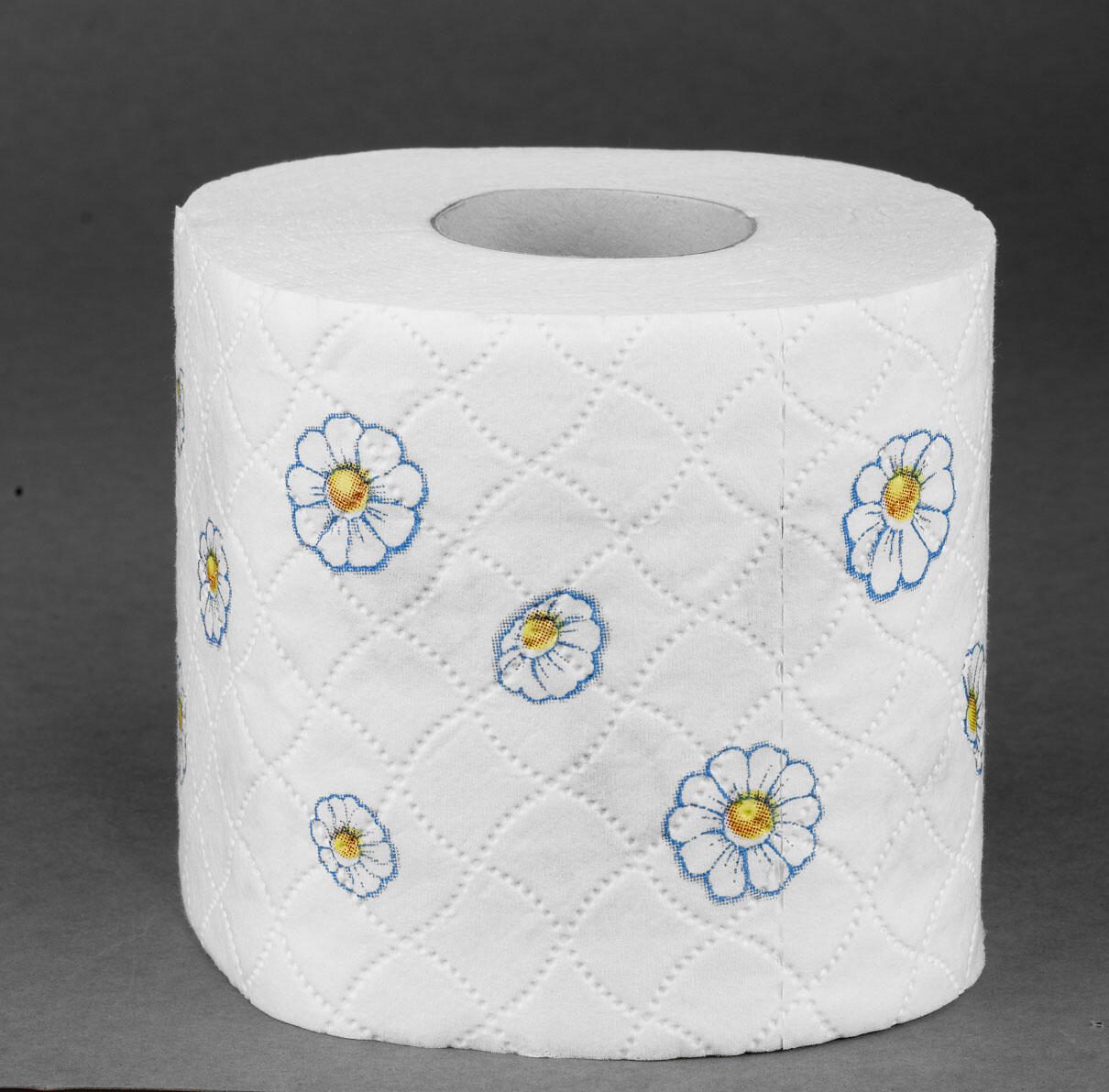 Regina Toilettenpapier Kamillenpapier 3-lagig