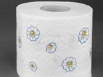 Regina Toilettenpapier Kamillenpapier 3-lagig
