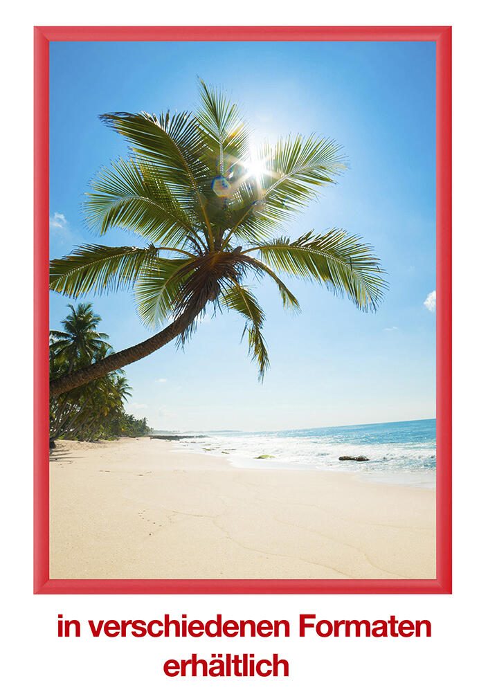 Showdown® Displays Klapprahmen 32,8 x 45,1 cm rot