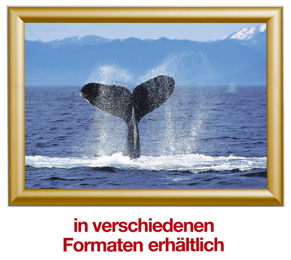 Showdown® Displays Klapprahmen 24,1 x 32,8 cm gold