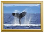 Showdown® Displays Klapprahmen 24,1 x 32,8 cm gold