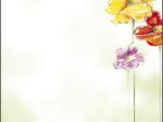 SIGEL Spring Flowers Motivpapier DIN A4 90 g/m²