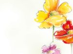 SIGEL Spring Flowers Motivpapier DIN A4 90 g/m²