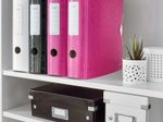 LEITZ Ordner Rückenbreite 8.2 cm DIN A4 Kunststoff pink