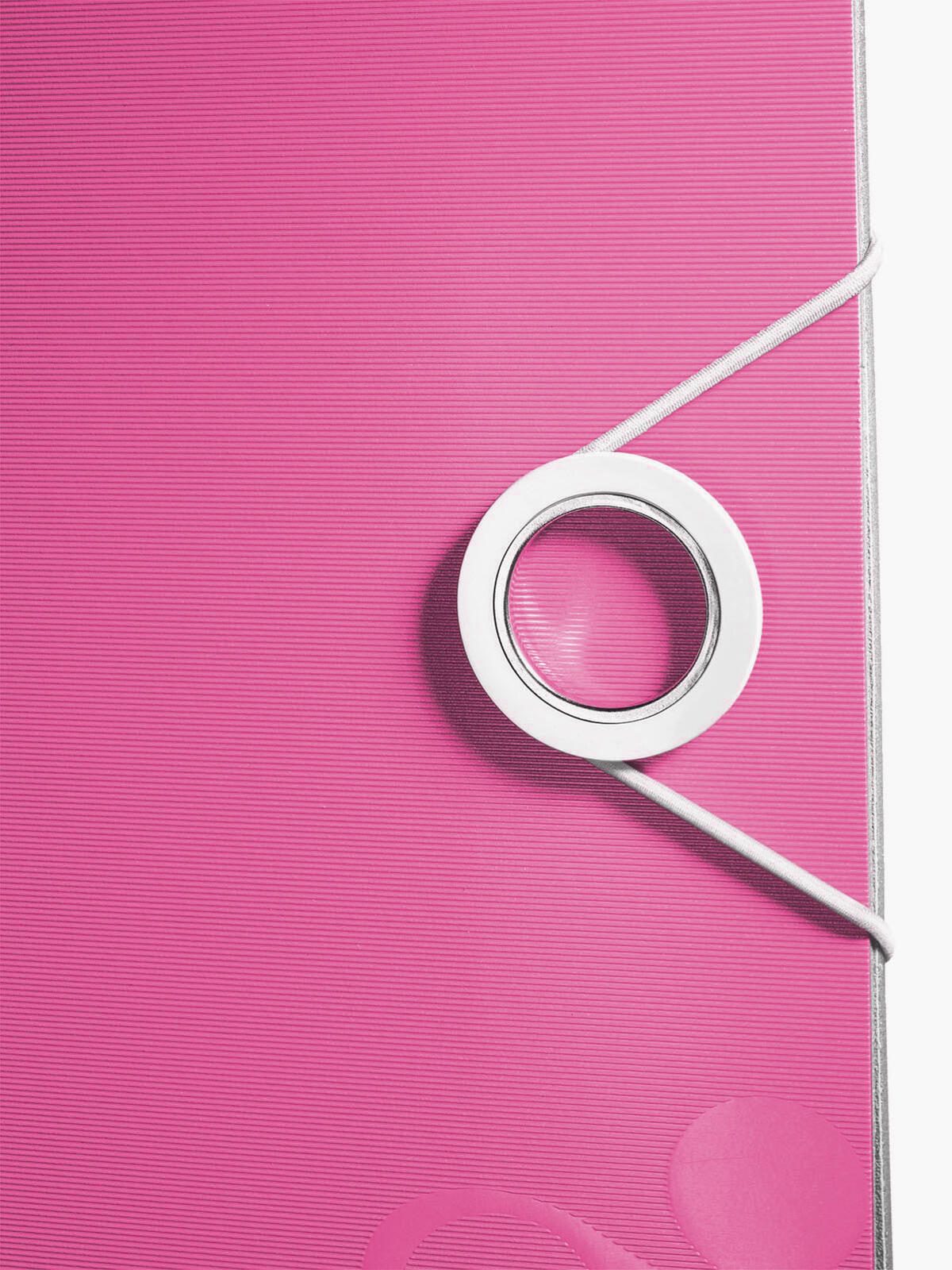 LEITZ Ordner Rückenbreite 8.2 cm DIN A4 Kunststoff pink