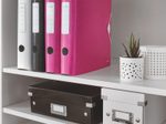 LEITZ Ordner Rückenbreite 6.5 cm DIN A4 Kunststoff pink