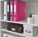 LEITZ Ordner Rückenbreite 6.5 cm DIN A4 Kunststoff pink