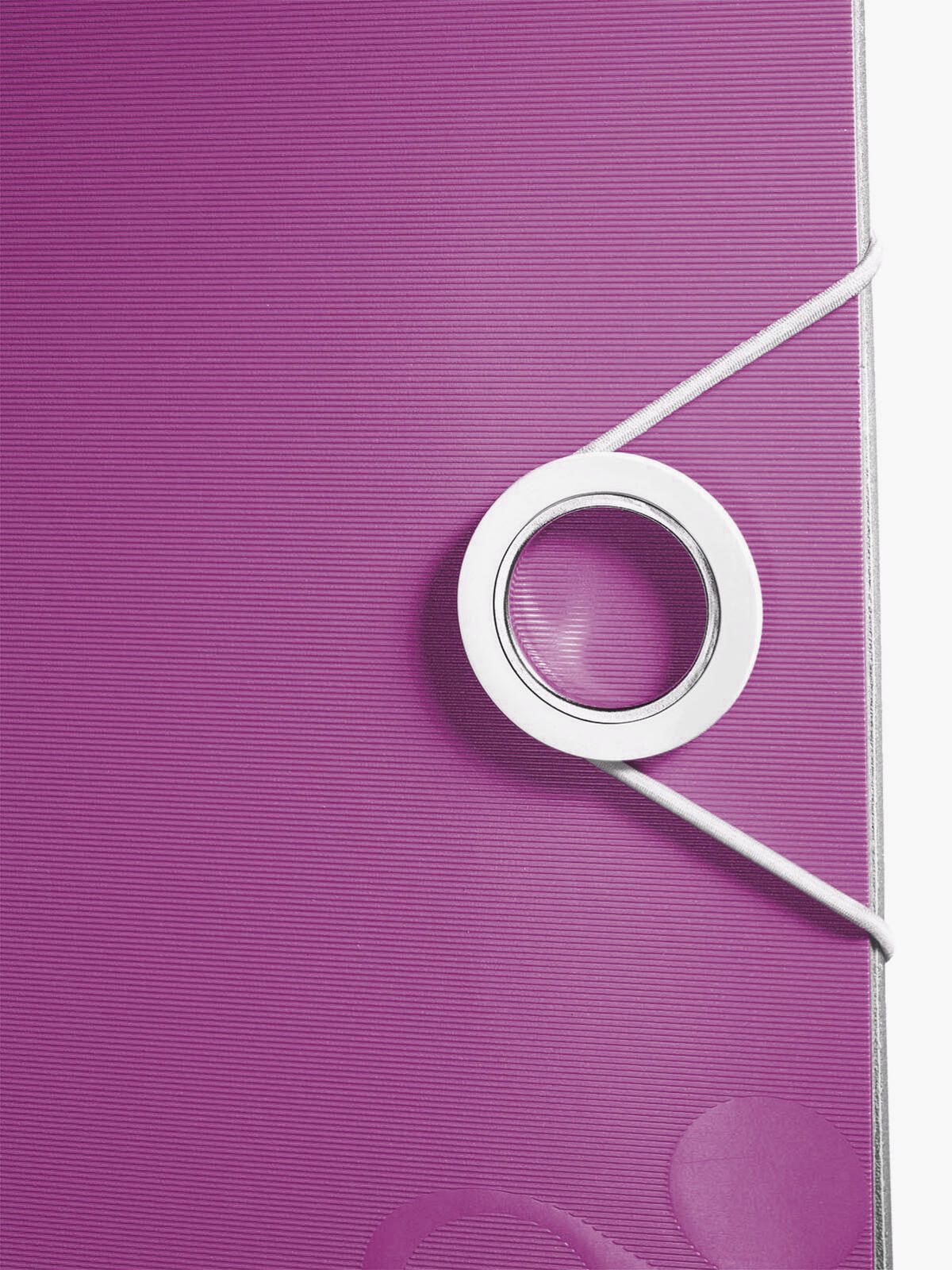 LEITZ Ordner Rückenbreite 8.2 cm DIN A4 Kunststoff violett