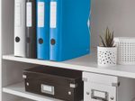 LEITZ Ordner Rückenbreite 6.5 cm DIN A4 Kunststoff blau