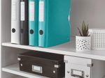 LEITZ Ordner Rückenbreite 6.5 cm DIN A4 Kunststoff eisblau