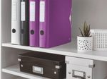 LEITZ Ordner Rückenbreite 6.5 cm DIN A4 Kunststoff violett