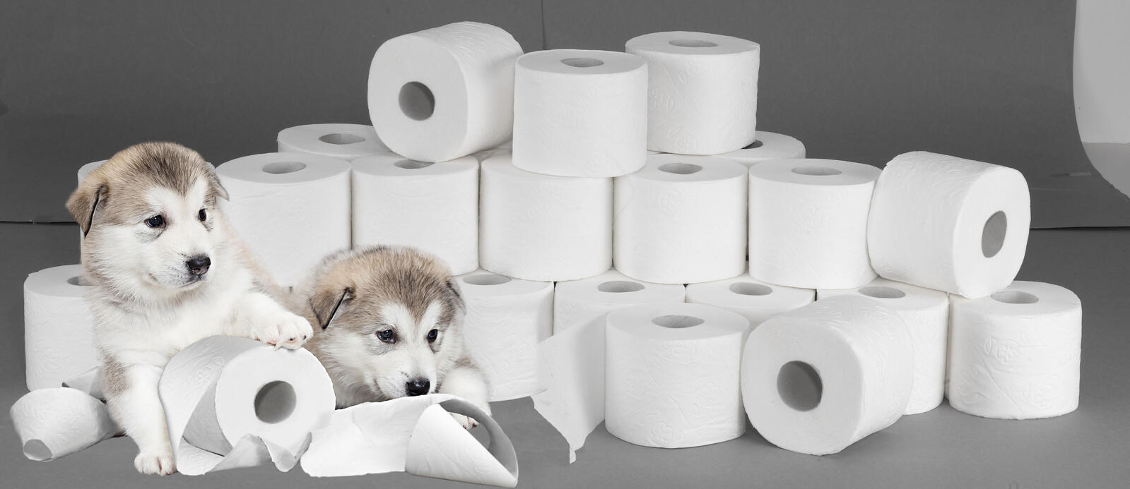 wepa Toilettenpapier SUPER SOFT 3-lagig