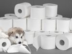 wepa Toilettenpapier SUPER SOFT 3-lagig
