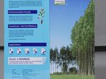 Double A Kopierpapier DIN A4 75 g/m²