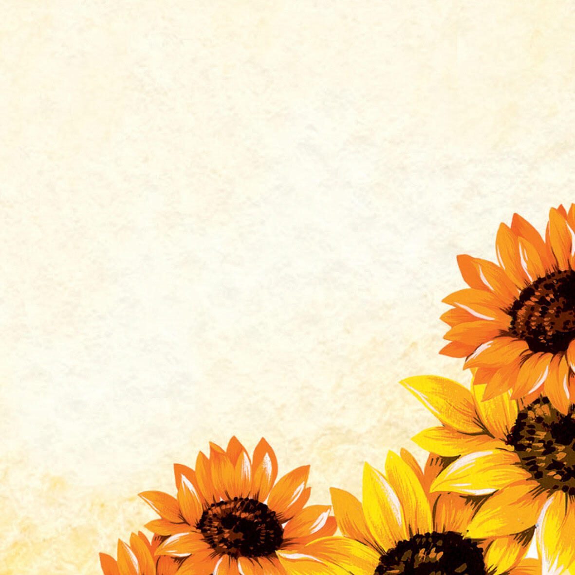 SIGEL Field of Sun Motivpapier DIN A4 90 g/m²