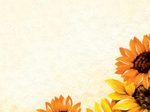 SIGEL Field of Sun Motivpapier DIN A4 90 g/m²