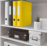 LEITZ Ordner Rückenbreite 6.5 cm DIN A4 Kunststoff gelb