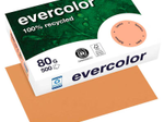 Clairefontaine Recyclingpapier Evercolor DIN A4 80 g/m² lachs