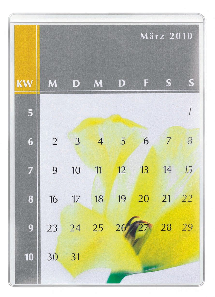 Probeco Selbstklebetaschen 11,5 x 15,8 cm
