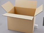 Nestler Wellpapp-Faltkartons 1-wellig braun 30,5 x 21,5 x 22,0 cm