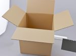 Nestler Wellpapp-Faltkartons 1-wellig braun 30,0 x 30,0 x 30,0 cm