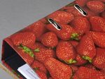 herlitz Motivordner Rückenbreite 8 cm DIN A4 Karton Motiv