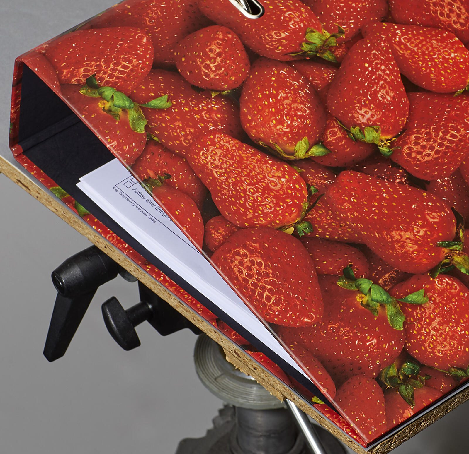herlitz Motivordner Rückenbreite 8 cm DIN A4 Karton Motiv