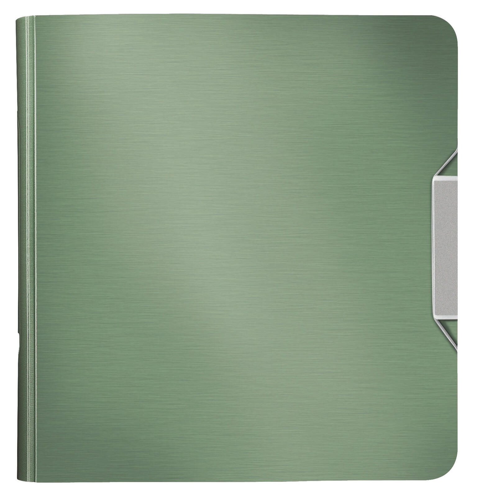 LEITZ Ordner Rückenbreite 8.2 cm DIN A4 Kunststoff seladon grün