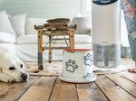 LEITZ HEPA-Filter für Luftreiniger