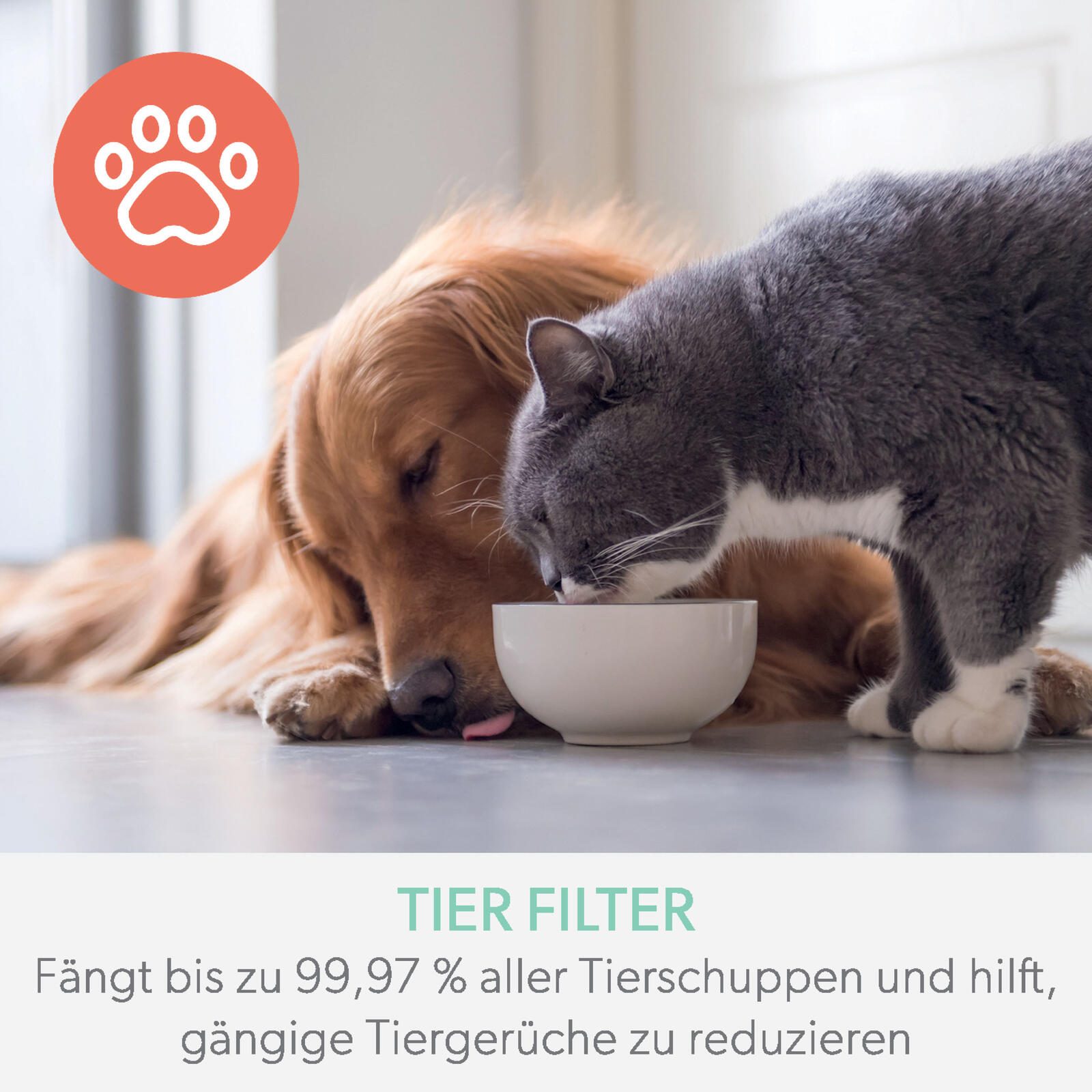 LEITZ HEPA-Filter für Luftreiniger