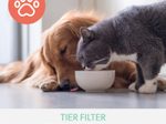 LEITZ HEPA-Filter für Luftreiniger