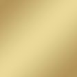 plottiX Aufbügelfolie 32 cm x 50 cm champagner