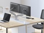 Neomounts DS70-810BL2 Monitor Tischhalterung