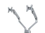 Neomounts FPMA-D750DSILVER Monitor Tischhalterung