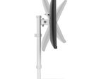Neomounts FPMA-D890WHITE Monitor Tischständer