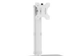 Neomounts FPMA-D890WHITE Monitor Tischständer