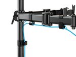 Neomounts NM-D135DBLACK dual Monitor Tischhalterung