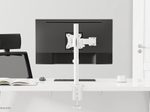 Neomounts NM-D135WHITE Monitor Tischhalterung