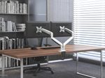 Neomounts NM-D750DSILVER Monitor Tischhalterung