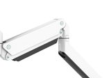 Neomounts NM-D775DX3WHITE Monitor Tischhalterung
