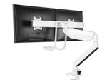 Neomounts NM-D775DXWHITE Dual Monitor Tischhalterung