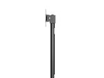 Neomounts NS-DPOS100BLACK Monitor Tischhalterung